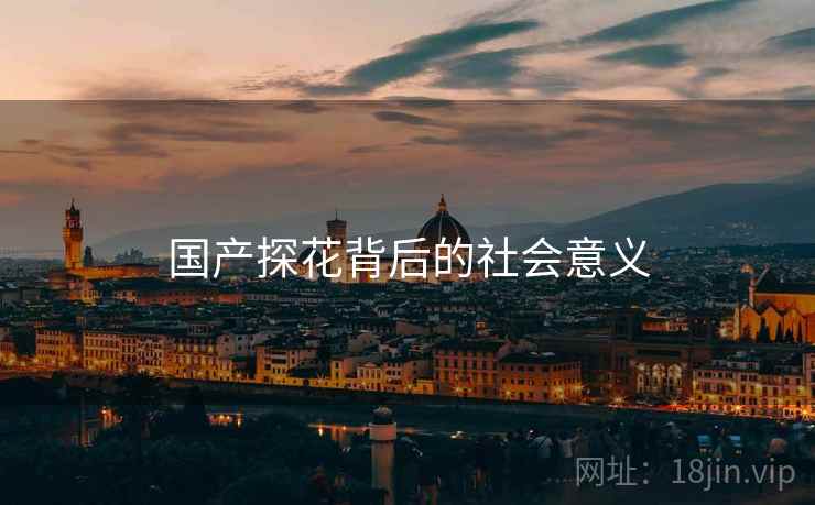 国产探花背后的社会意义